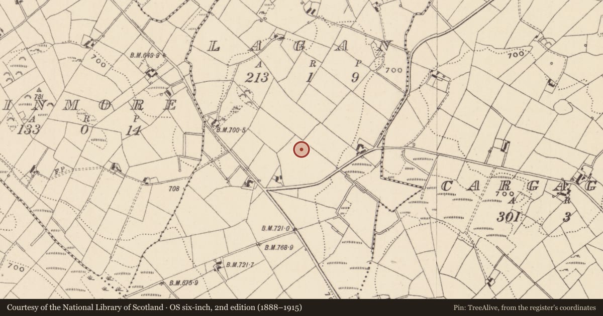 Ordnance Survey six-inch map, 2nd edition (1888–1915) covering the location of Megalithic tomb - court tomb, Lagan, County Monaghan, with a pin at the register's coordinates