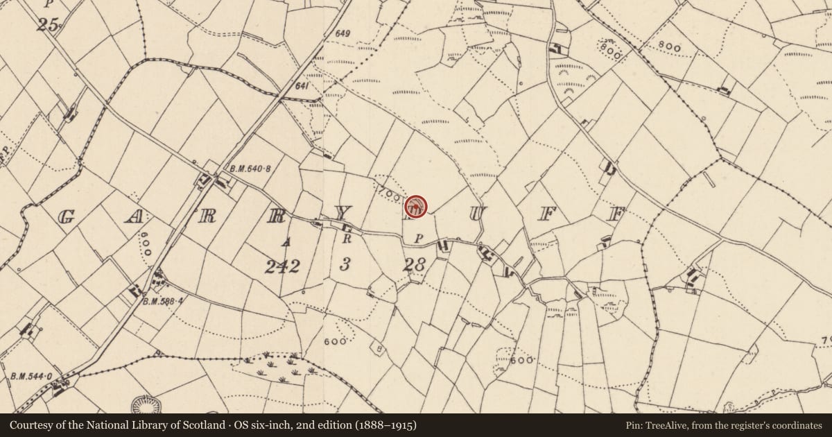 Ordnance Survey six-inch map, 2nd edition (1888–1915) covering the location of Ringfort - rath, Garryduff, County Monaghan, with a pin at the register's coordinates