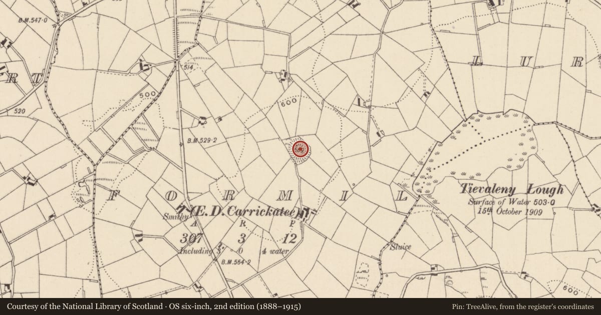Ordnance Survey six-inch map, 2nd edition (1888–1915) covering the location of Ringfort - rath, Formil (Cremorne By., Aghnamullen Par.), County Monaghan, with a pin at the register's coordinates