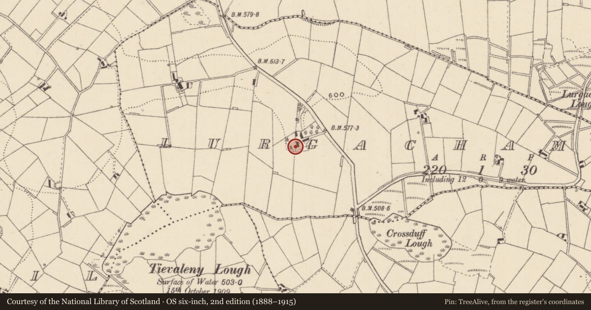Ordnance Survey six-inch map, 2nd edition (1888–1915) covering the location of Ringfort - rath, Lurgachamlough, County Monaghan, with a pin at the register's coordinates