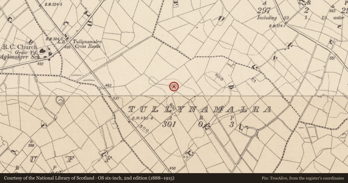Ordnance Survey six-inch map, 2nd edition (1888–1915) covering the location of Ringfort - rath, Tullynamalra (Cremorne By, County Monaghan, with a pin at the register's coordinates
