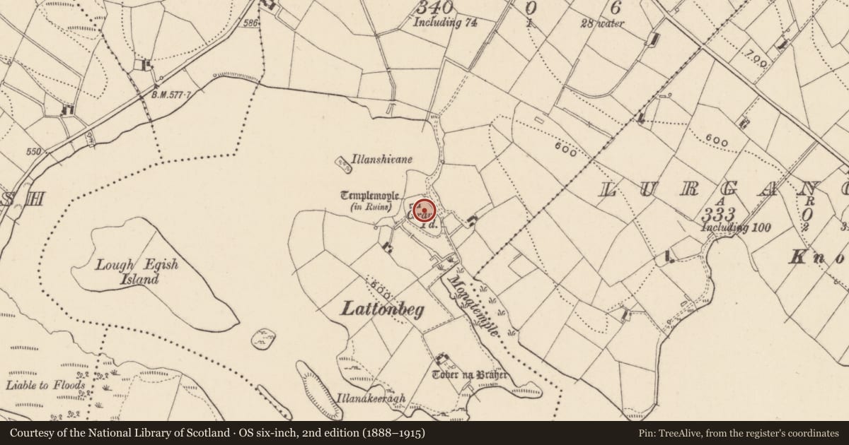 Ordnance Survey six-inch map, 2nd edition (1888–1915) covering the location of Graveyard, Lattonfasky, County Monaghan, with a pin at the register's coordinates