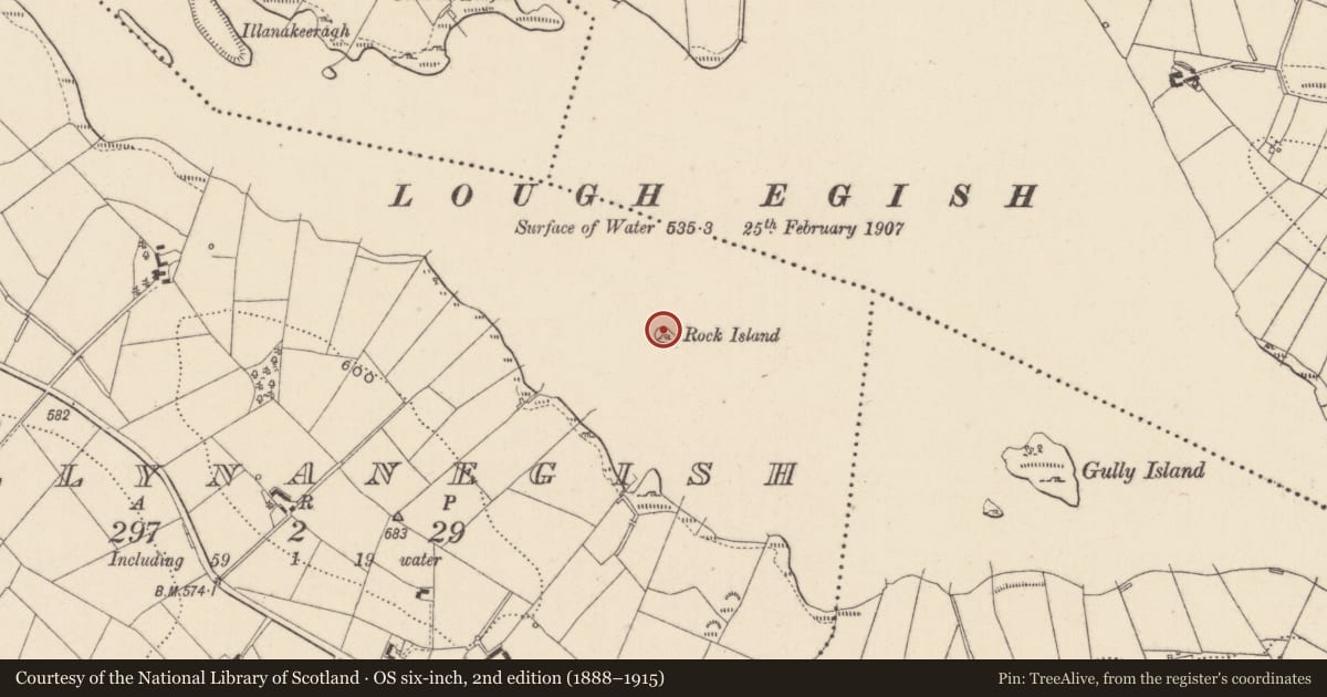 Ordnance Survey six-inch map, 2nd edition (1888–1915) covering the location of Crannog, Tullynanegish, County Monaghan, with a pin at the register's coordinates