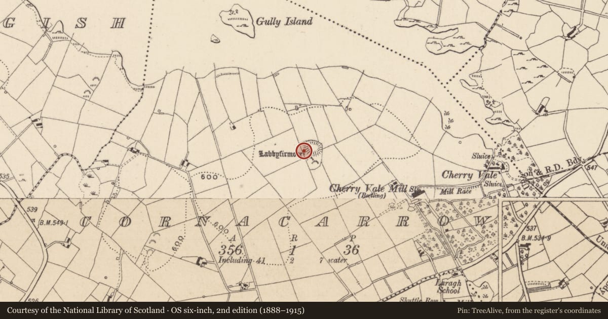 Ordnance Survey six-inch map, 2nd edition (1888–1915) covering the location of Cist, Cornacarrow, County Monaghan, with a pin at the register's coordinates