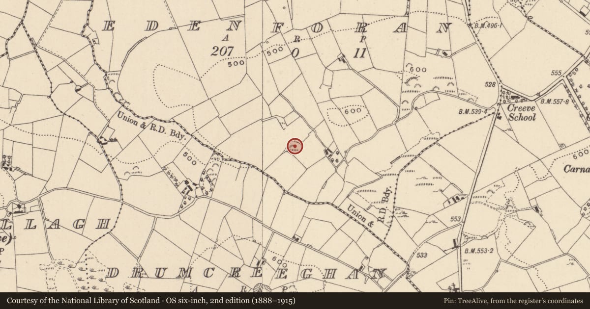 Ordnance Survey six-inch map, 2nd edition (1888–1915) covering the location of Ringfort - rath, Edenforan, County Monaghan, with a pin at the register's coordinates