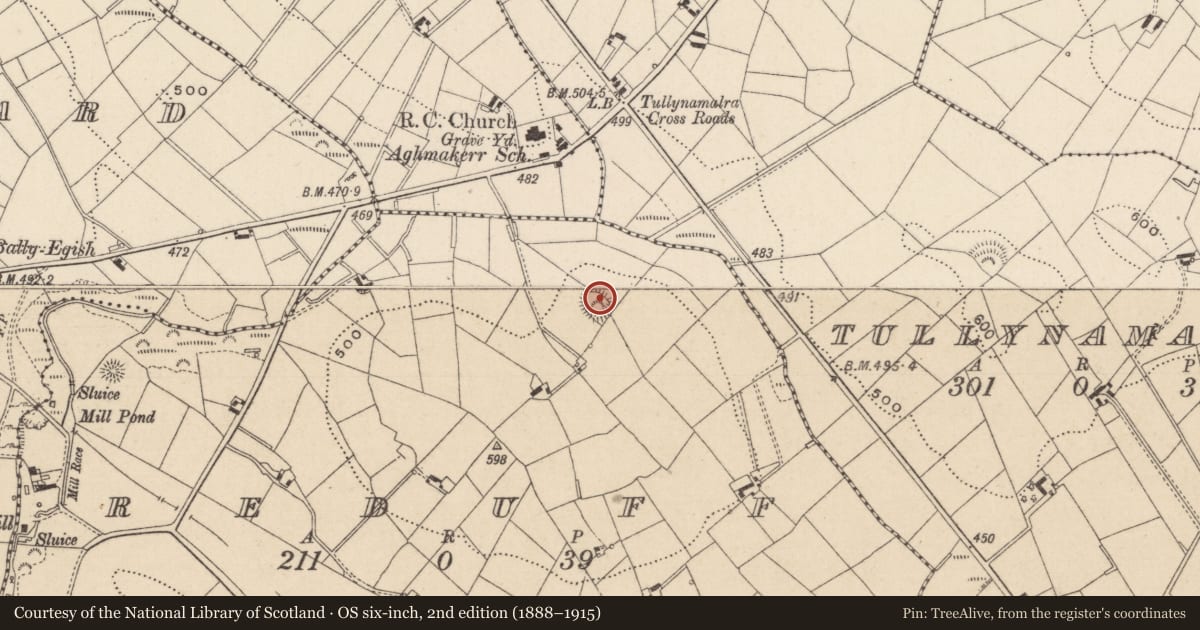 Ordnance Survey six-inch map, 2nd edition (1888–1915) covering the location of Ringfort - rath, Reduff, County Monaghan, with a pin at the register's coordinates