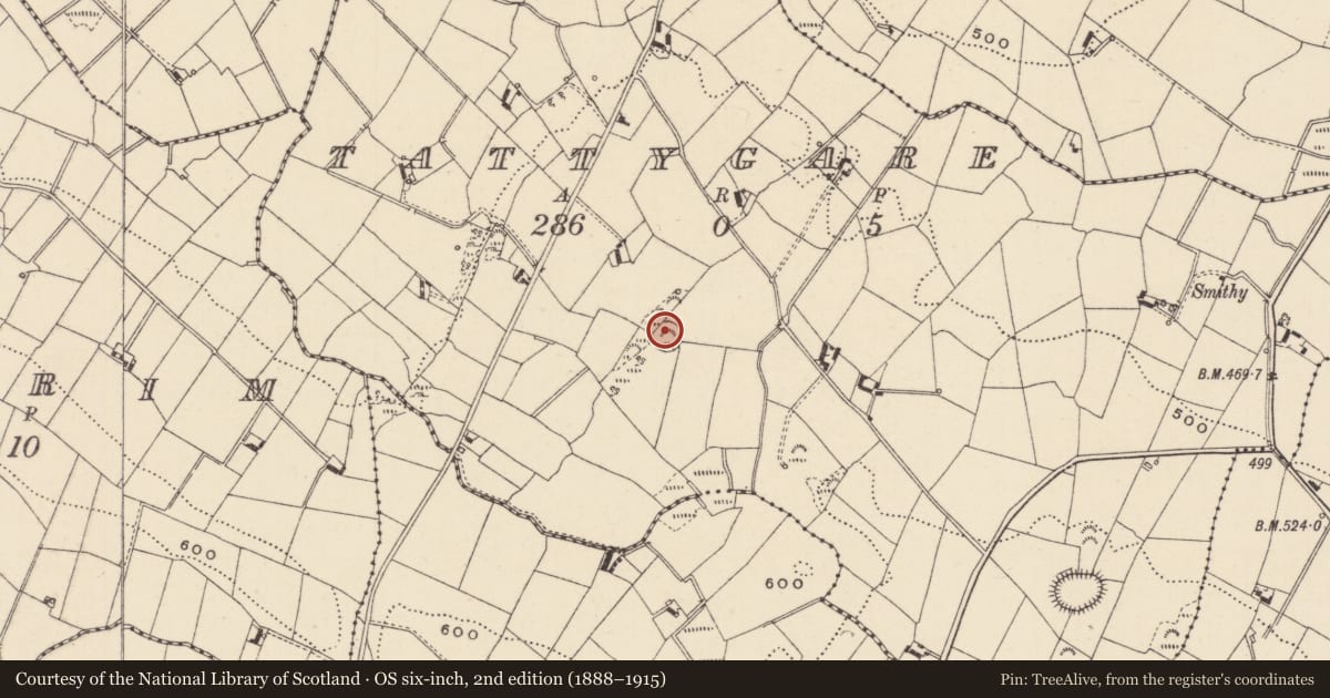 Ordnance Survey six-inch map, 2nd edition (1888–1915) covering the location of Ringfort - rath, Tattygare, County Monaghan, with a pin at the register's coordinates
