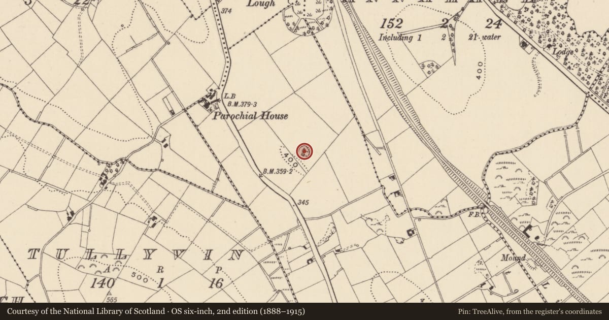Ordnance Survey six-inch map, 2nd edition (1888–1915) covering the location of Ringfort - rath, Drumcrew, County Monaghan, with a pin at the register's coordinates