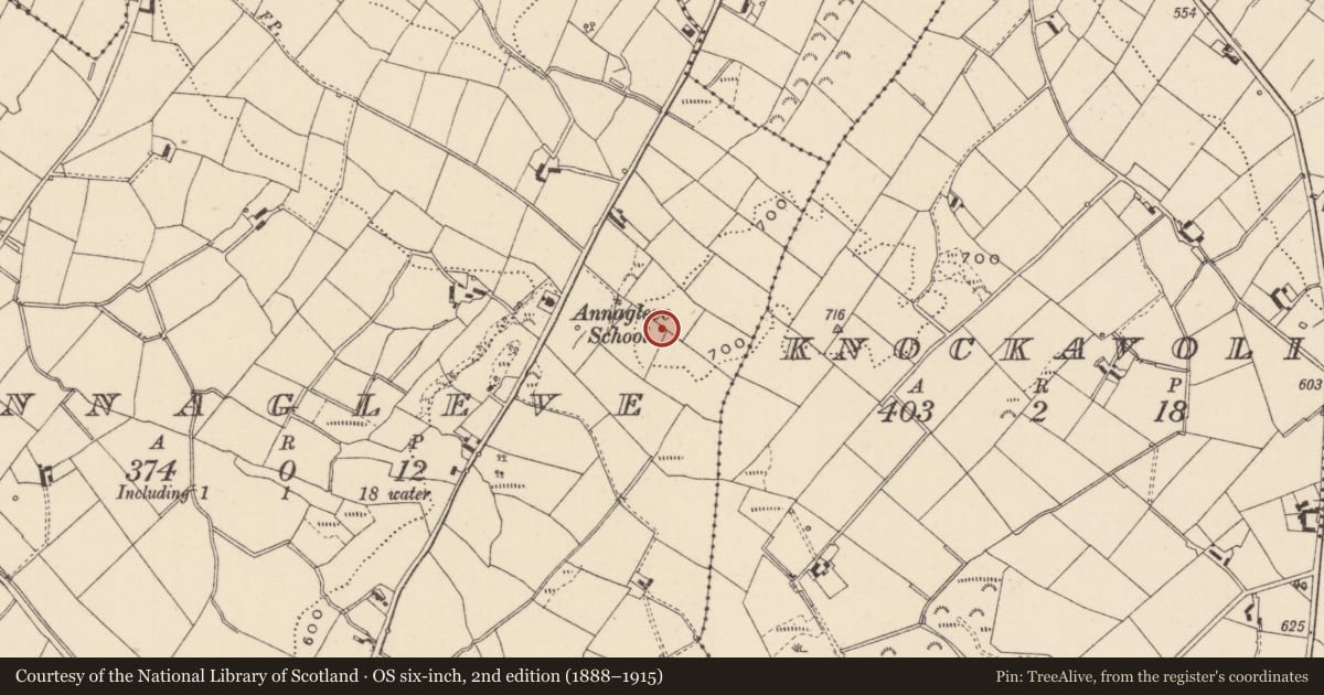 Ordnance Survey six-inch map, 2nd edition (1888–1915) covering the location of Megalithic tomb - court tomb, Annagleve, County Monaghan, with a pin at the register's coordinates