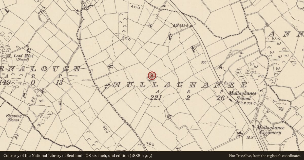 Ordnance Survey six-inch map, 2nd edition (1888–1915) covering the location of Ringfort - rath, Mullaghanee, County Monaghan, with a pin at the register's coordinates