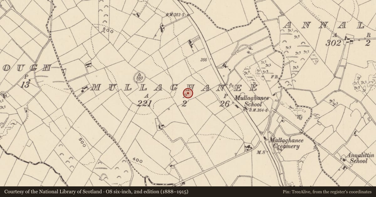 Ordnance Survey six-inch map, 2nd edition (1888–1915) covering the location of Ringfort - rath, Mullaghanee, County Monaghan, with a pin at the register's coordinates