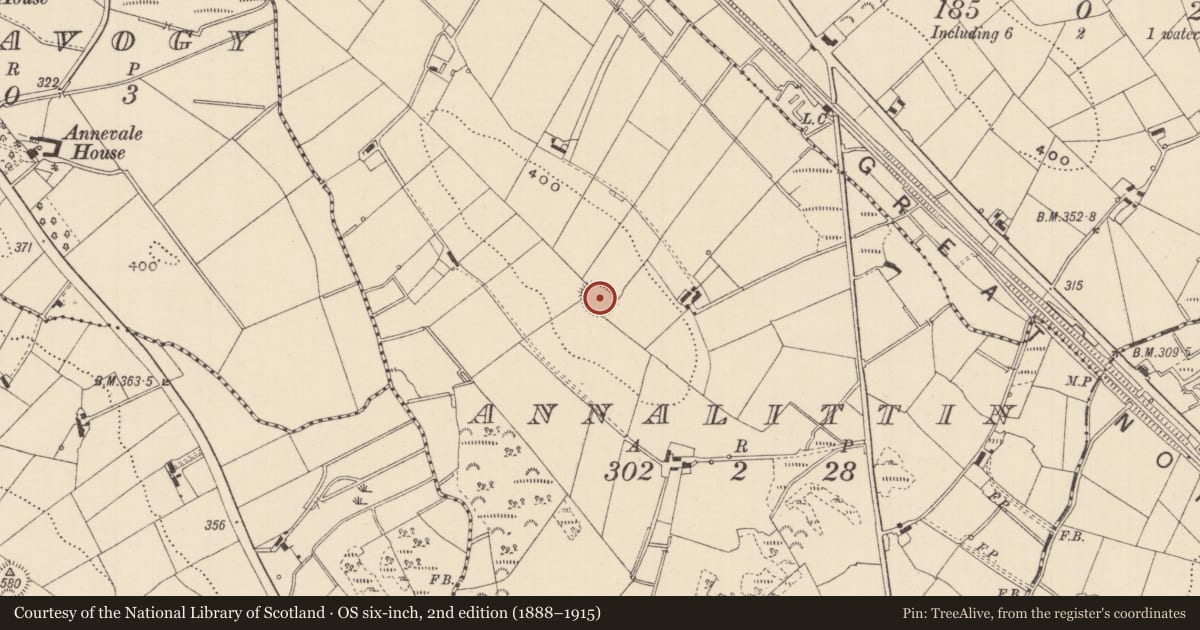 Ordnance Survey six-inch map, 2nd edition (1888–1915) covering the location of Ringfort - rath, Annalittin, County Monaghan, with a pin at the register's coordinates