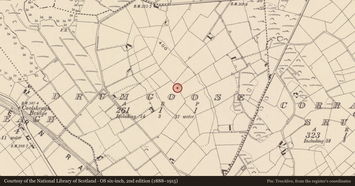 Ordnance Survey six-inch map, 2nd edition (1888–1915) covering the location of Ringfort - rath, Drumgoose, County Monaghan, with a pin at the register's coordinates