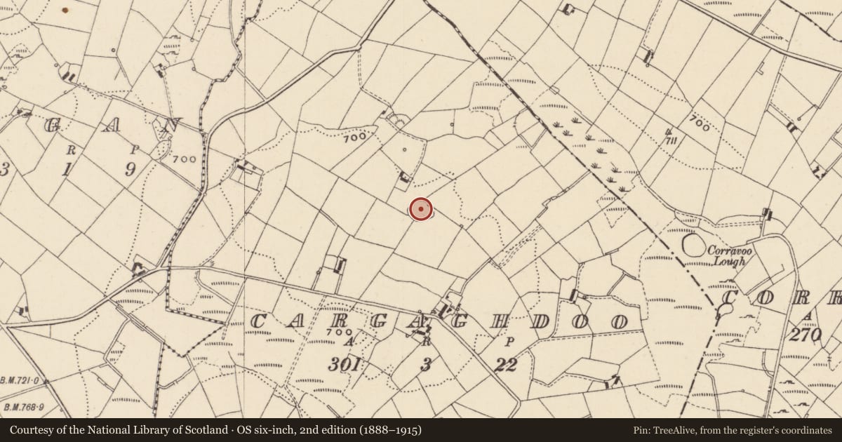 Ordnance Survey six-inch map, 2nd edition (1888–1915) covering the location of Ringfort - cashel, Cargaghdoo, County Monaghan, with a pin at the register's coordinates
