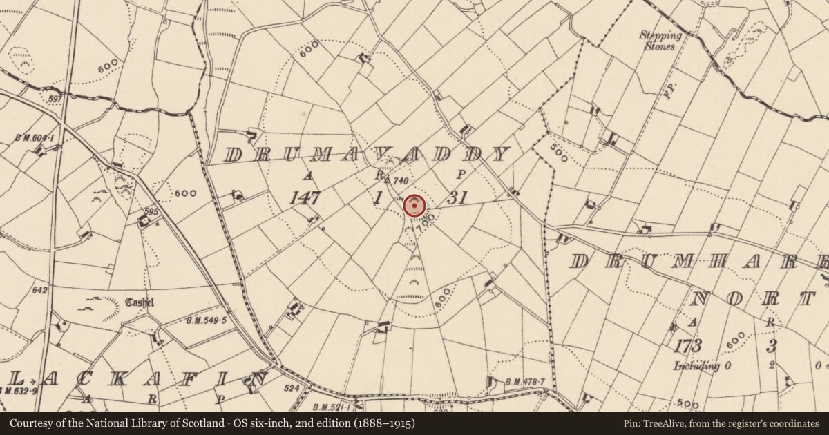 Ordnance Survey six-inch map, 2nd edition (1888–1915) covering the location of Ringfort - rath, Drumavaddy, County Monaghan, with a pin at the register's coordinates