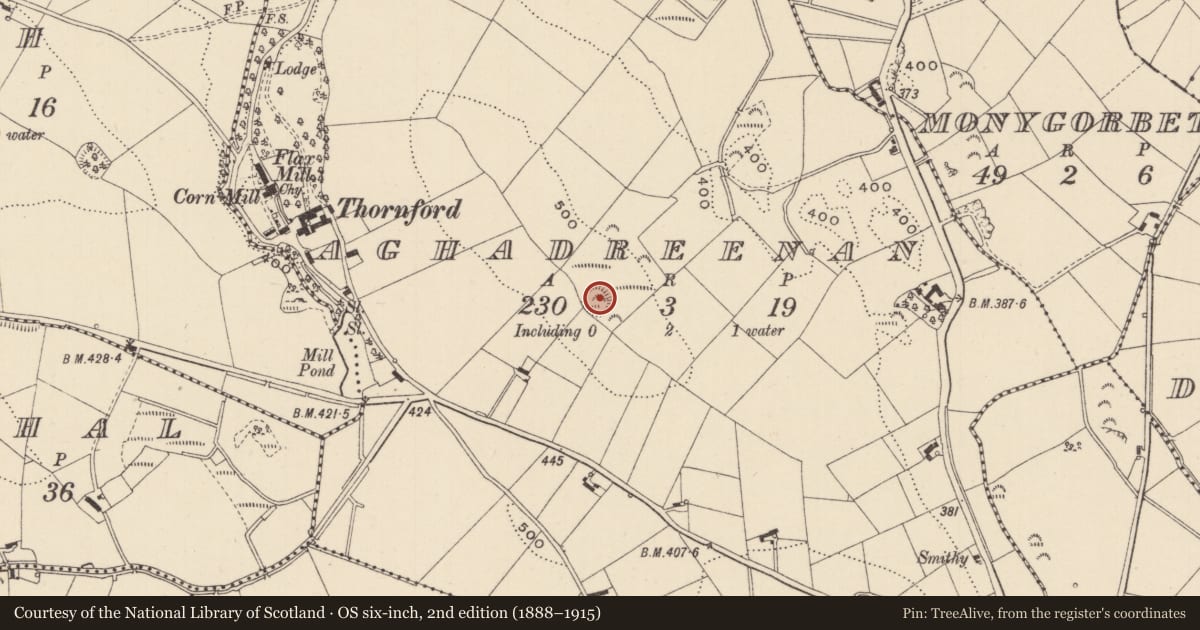 Ordnance Survey six-inch map, 2nd edition (1888–1915) covering the location of Ringfort - rath, Aghadreenan, County Monaghan, with a pin at the register's coordinates