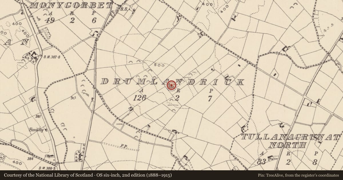 Ordnance Survey six-inch map, 2nd edition (1888–1915) covering the location of Ringfort - rath, Drumlandrick, County Monaghan, with a pin at the register's coordinates