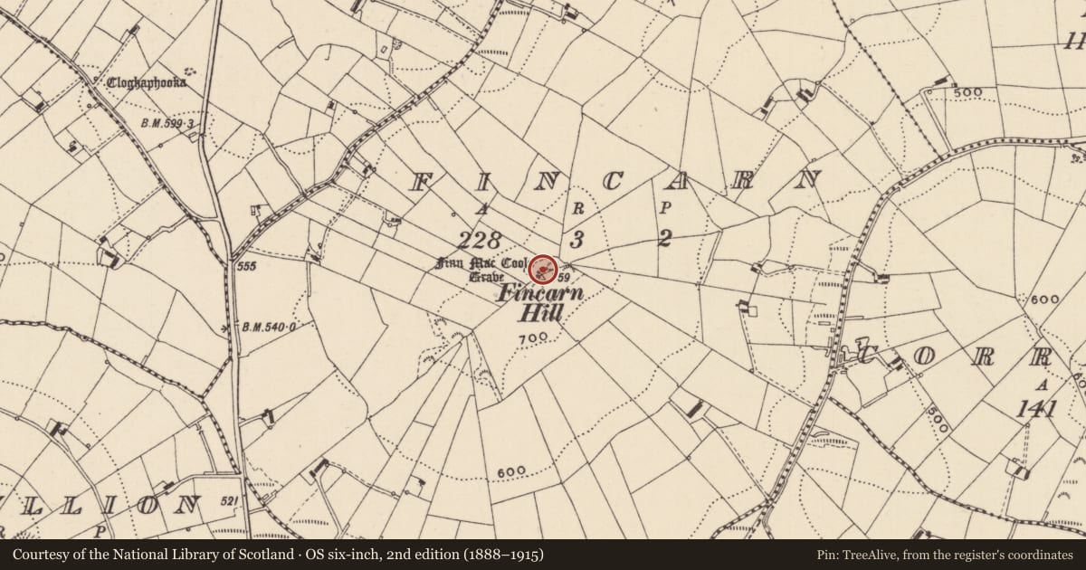 Ordnance Survey six-inch map, 2nd edition (1888–1915) covering the location of Cairn - unclassified, Fincarn, County Monaghan, with a pin at the register's coordinates