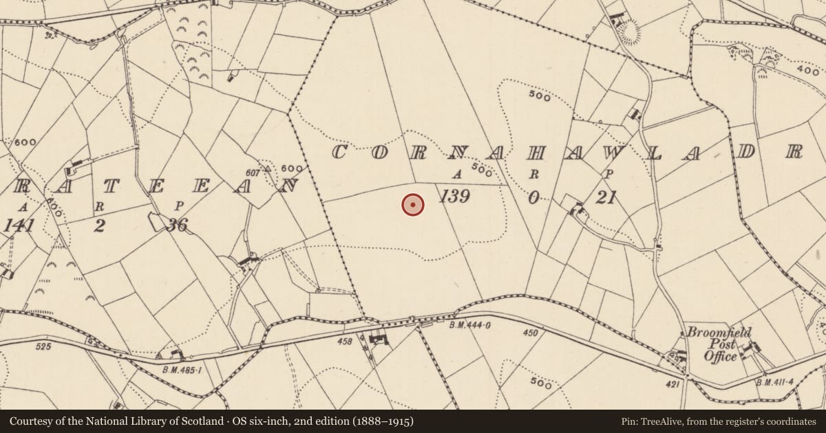 Ordnance Survey six-inch map, 2nd edition (1888–1915) covering the location of Ringfort - rath, Cornahawla, County Monaghan, with a pin at the register's coordinates
