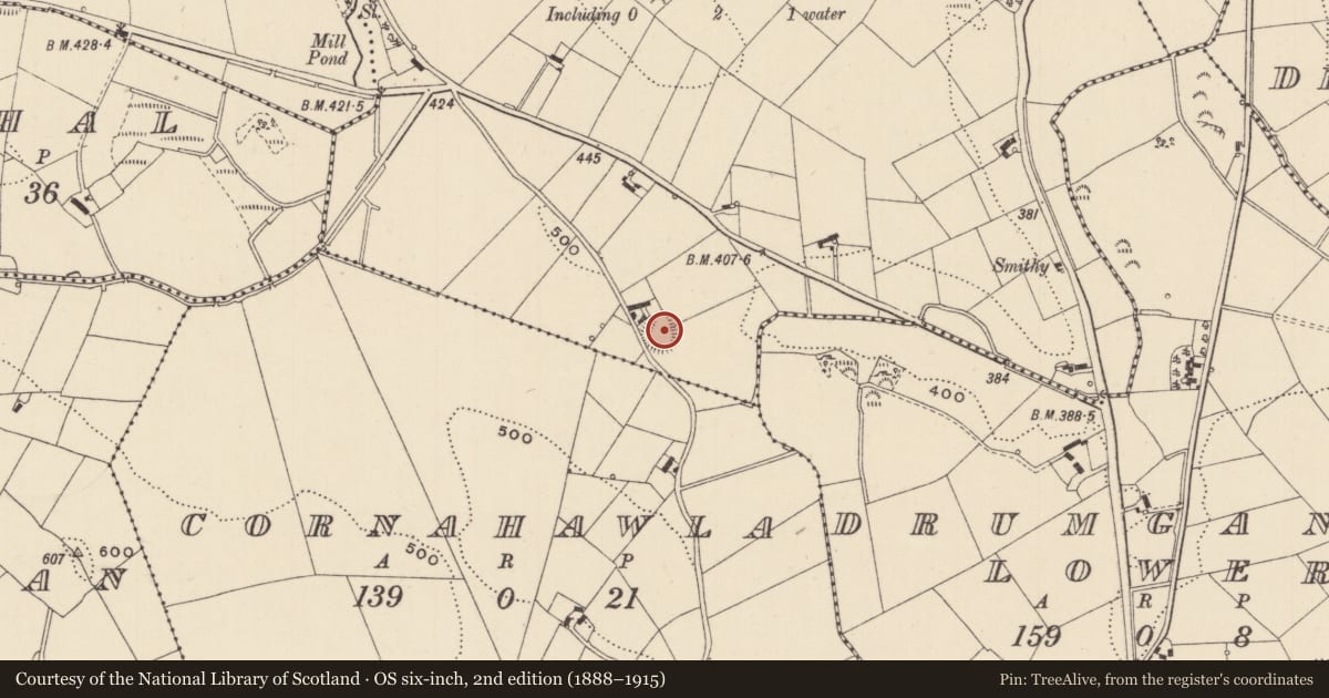 Ordnance Survey six-inch map, 2nd edition (1888–1915) covering the location of Ringfort - rath, Aghadreenan, County Monaghan, with a pin at the register's coordinates