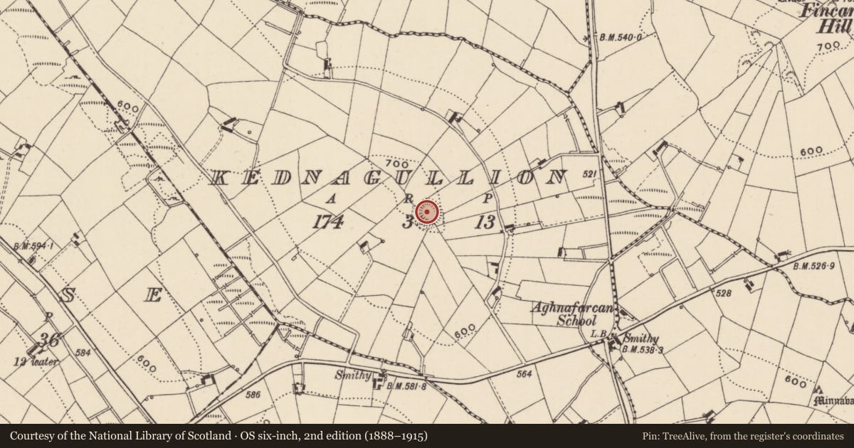 Ordnance Survey six-inch map, 2nd edition (1888–1915) covering the location of Ringfort - rath, Kednagullion, County Monaghan, with a pin at the register's coordinates