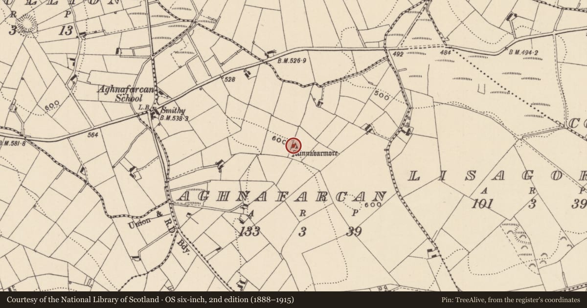 Ordnance Survey six-inch map, 2nd edition (1888–1915) covering the location of Megalithic tomb - court tomb, Aghnafarcan, County Monaghan, with a pin at the register's coordinates