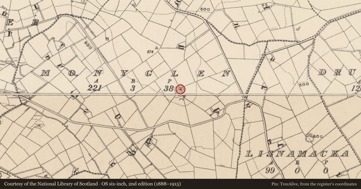 Ordnance Survey six-inch map, 2nd edition (1888–1915) covering the location of Ringfort - rath, Monyglen, County Monaghan, with a pin at the register's coordinates