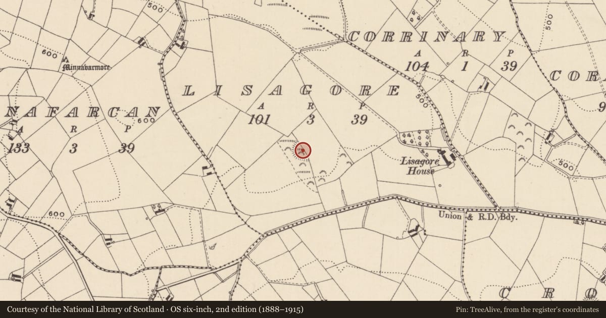 Ordnance Survey six-inch map, 2nd edition (1888–1915) covering the location of Ringfort - rath, Lisagore, County Monaghan, with a pin at the register's coordinates