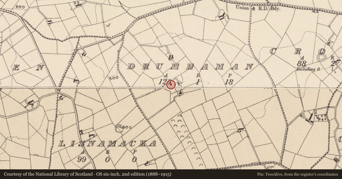 Ordnance Survey six-inch map, 2nd edition (1888–1915) covering the location of Ringfort - rath, Drumhaman, County Monaghan, with a pin at the register's coordinates