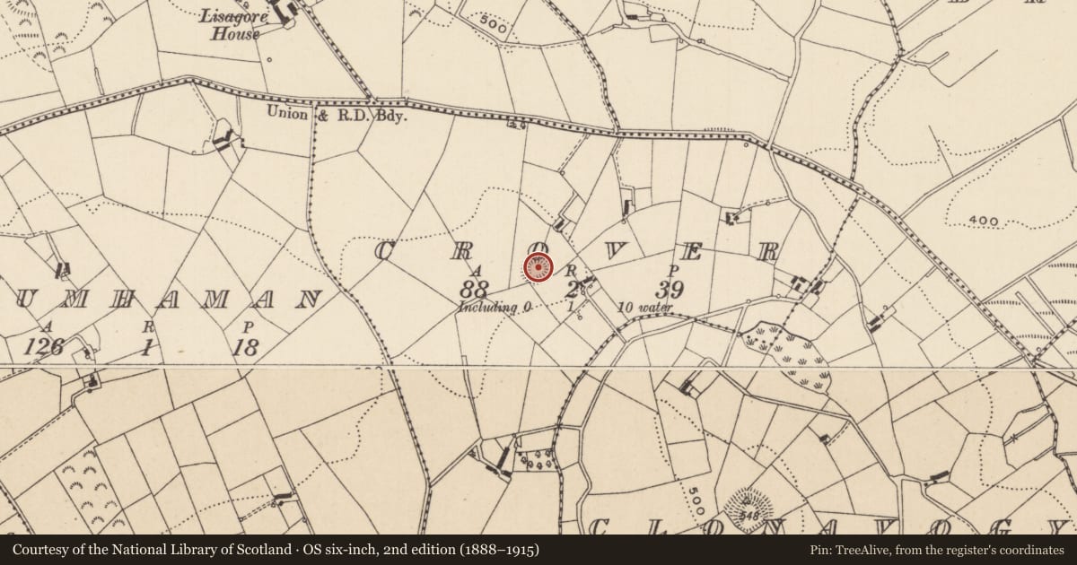 Ordnance Survey six-inch map, 2nd edition (1888–1915) covering the location of Ringfort - rath, Crover, County Monaghan, with a pin at the register's coordinates