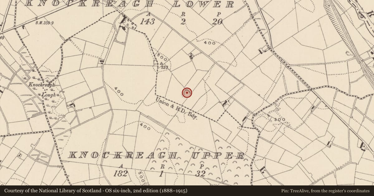 Ordnance Survey six-inch map, 2nd edition (1888–1915) covering the location of Ringfort - rath, Knockreagh Lower, County Monaghan, with a pin at the register's coordinates