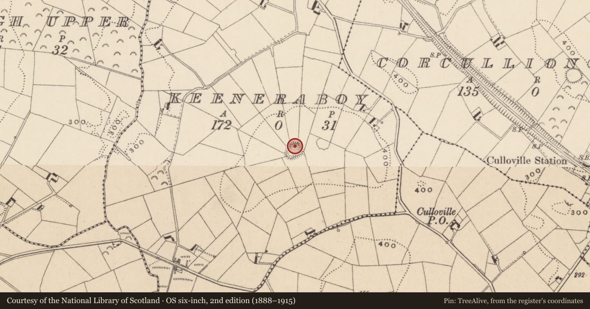 Ordnance Survey six-inch map, 2nd edition (1888–1915) covering the location of Ringfort - rath, Keeneraboy, County Monaghan, with a pin at the register's coordinates