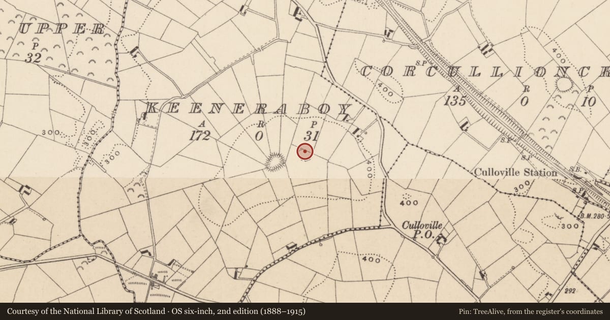 Ordnance Survey six-inch map, 2nd edition (1888–1915) covering the location of Ringfort - rath, Keeneraboy, County Monaghan, with a pin at the register's coordinates
