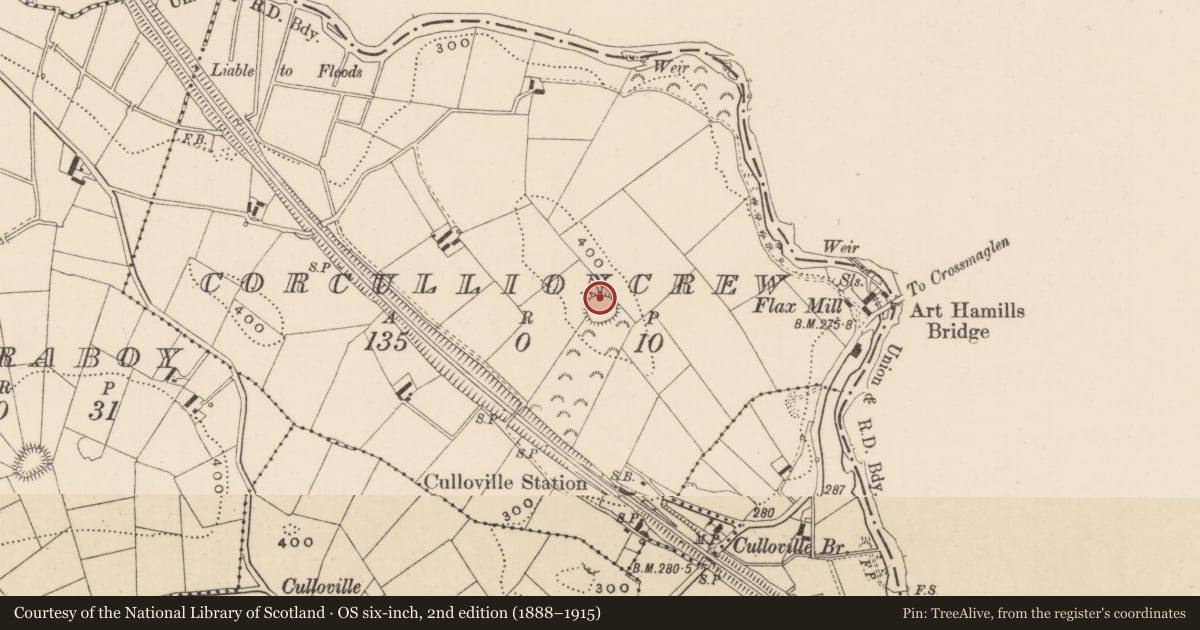 Ordnance Survey six-inch map, 2nd edition (1888–1915) covering the location of Ringfort - rath, Corcullioncrew, County Monaghan, with a pin at the register's coordinates