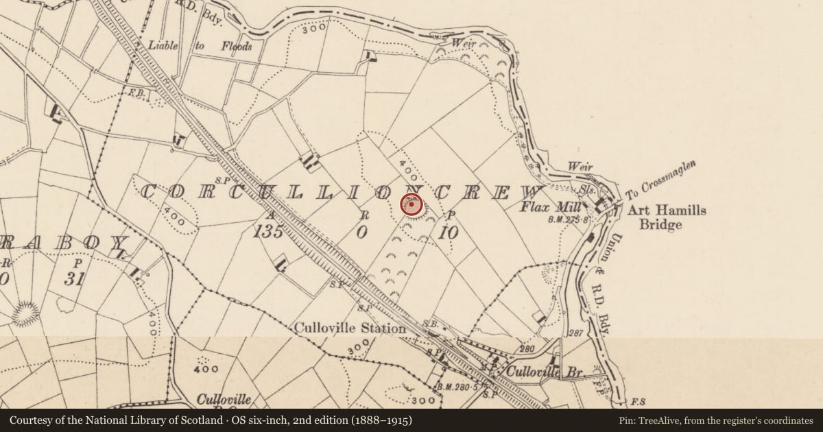 Ordnance Survey six-inch map, 2nd edition (1888–1915) covering the location of Souterrain, Corcullioncrew, County Monaghan, with a pin at the register's coordinates