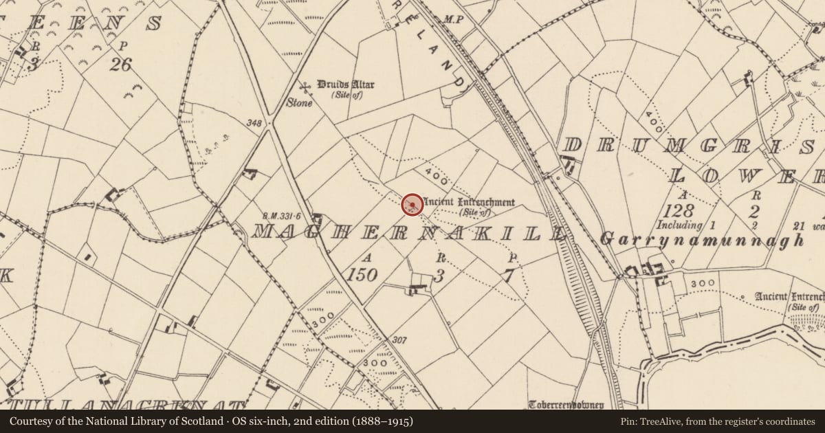 Ordnance Survey six-inch map, 2nd edition (1888–1915) covering the location of Linear earthwork, Maghernakill, County Monaghan, with a pin at the register's coordinates