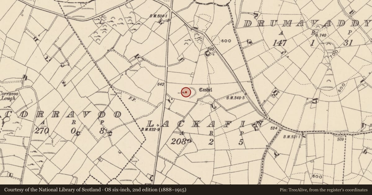 Ordnance Survey six-inch map, 2nd edition (1888–1915) covering the location of Ringfort - cashel, Lackafin, County Monaghan, with a pin at the register's coordinates