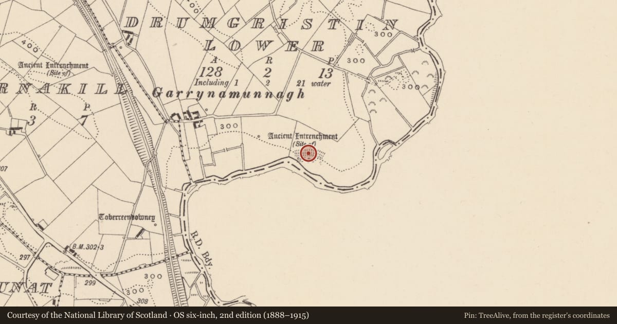 Ordnance Survey six-inch map, 2nd edition (1888–1915) covering the location of Linear earthwork, Drumgristin Lower, County Monaghan, with a pin at the register's coordinates