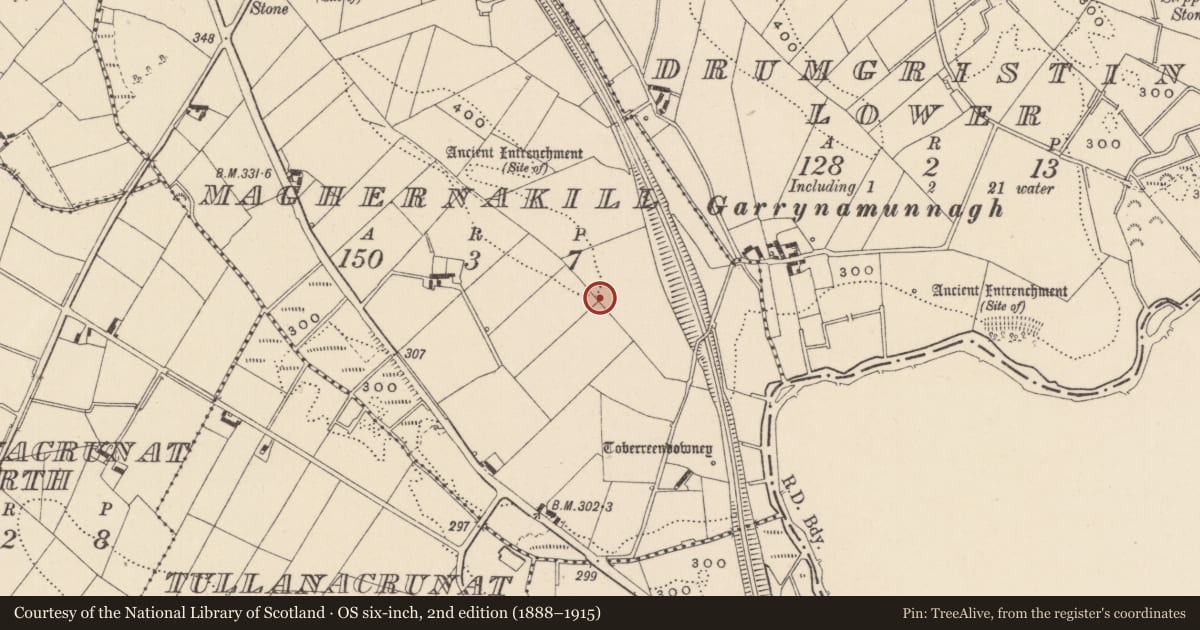 Ordnance Survey six-inch map, 2nd edition (1888–1915) covering the location of Enclosure - large enclosure, Maghernakill, County Monaghan, with a pin at the register's coordinates
