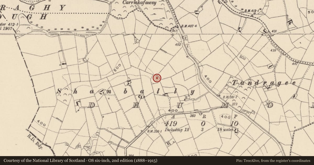 Ordnance Survey six-inch map, 2nd edition (1888–1915) covering the location of Ringfort - rath, Drumod, County Monaghan, with a pin at the register's coordinates
