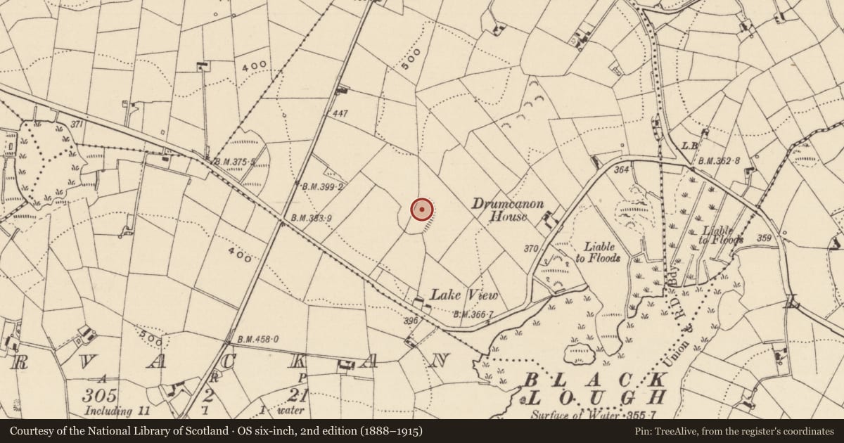 Ordnance Survey six-inch map, 2nd edition (1888–1915) covering the location of Ringfort - rath, Drumcanon, County Monaghan, with a pin at the register's coordinates