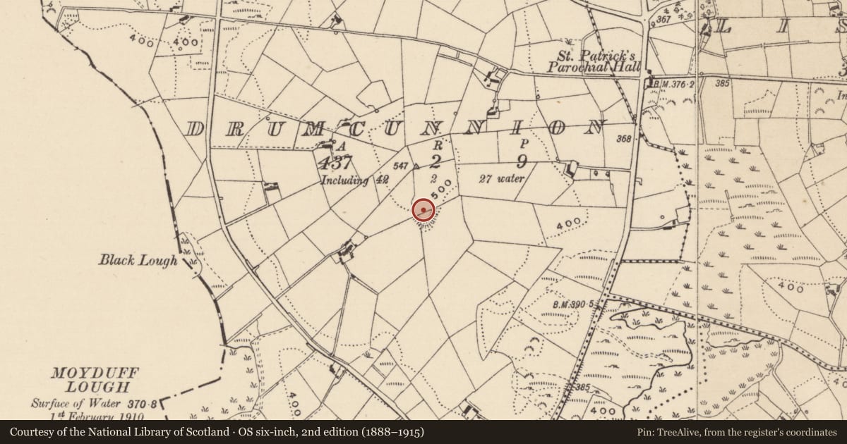 Ordnance Survey six-inch map, 2nd edition (1888–1915) covering the location of Ringfort - rath, Drumcunnion, County Monaghan, with a pin at the register's coordinates