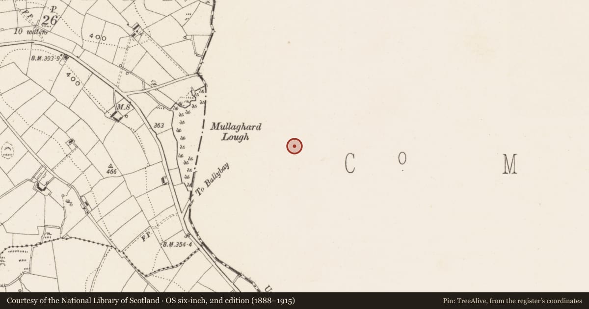Ordnance Survey six-inch map, 2nd edition (1888–1915) covering the location of Hilltop enclosure, Corgreagh, County Monaghan, with a pin at the register's coordinates