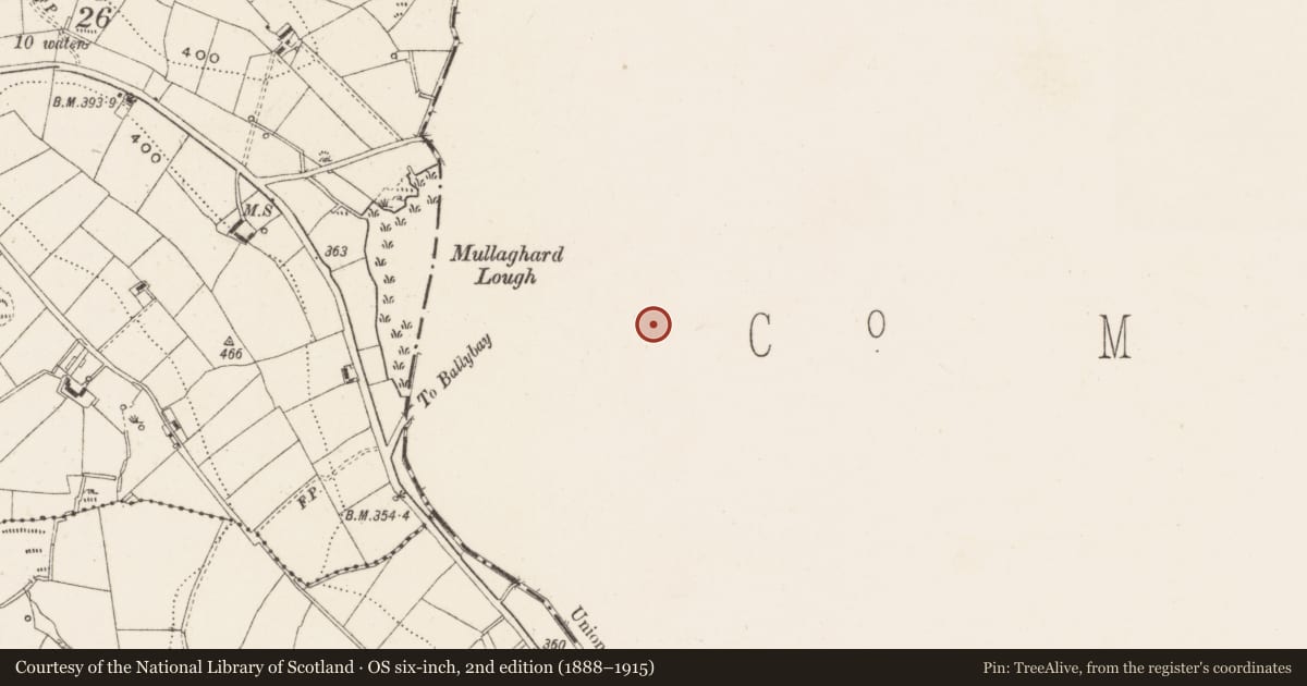 Ordnance Survey six-inch map, 2nd edition (1888–1915) covering the location of Burial ground, Corgreagh, County Monaghan, with a pin at the register's coordinates