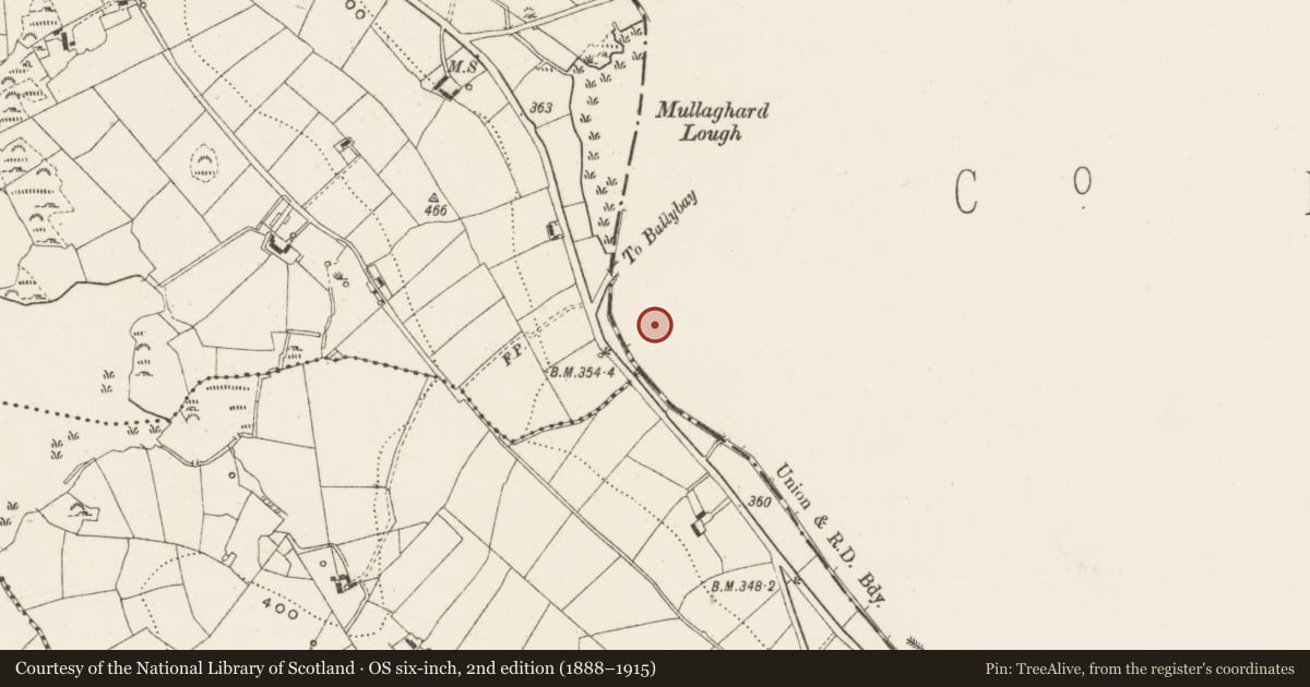 Ordnance Survey six-inch map, 2nd edition (1888–1915) covering the location of Megalithic tomb - unclassified, Corgreagh, County Monaghan, with a pin at the register's coordinates