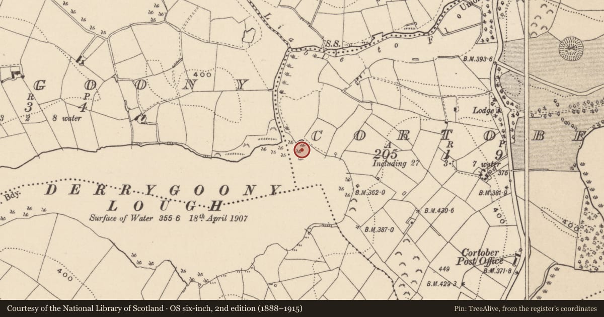 Ordnance Survey six-inch map, 2nd edition (1888–1915) covering the location of Crannog, Cortober, County Monaghan, with a pin at the register's coordinates