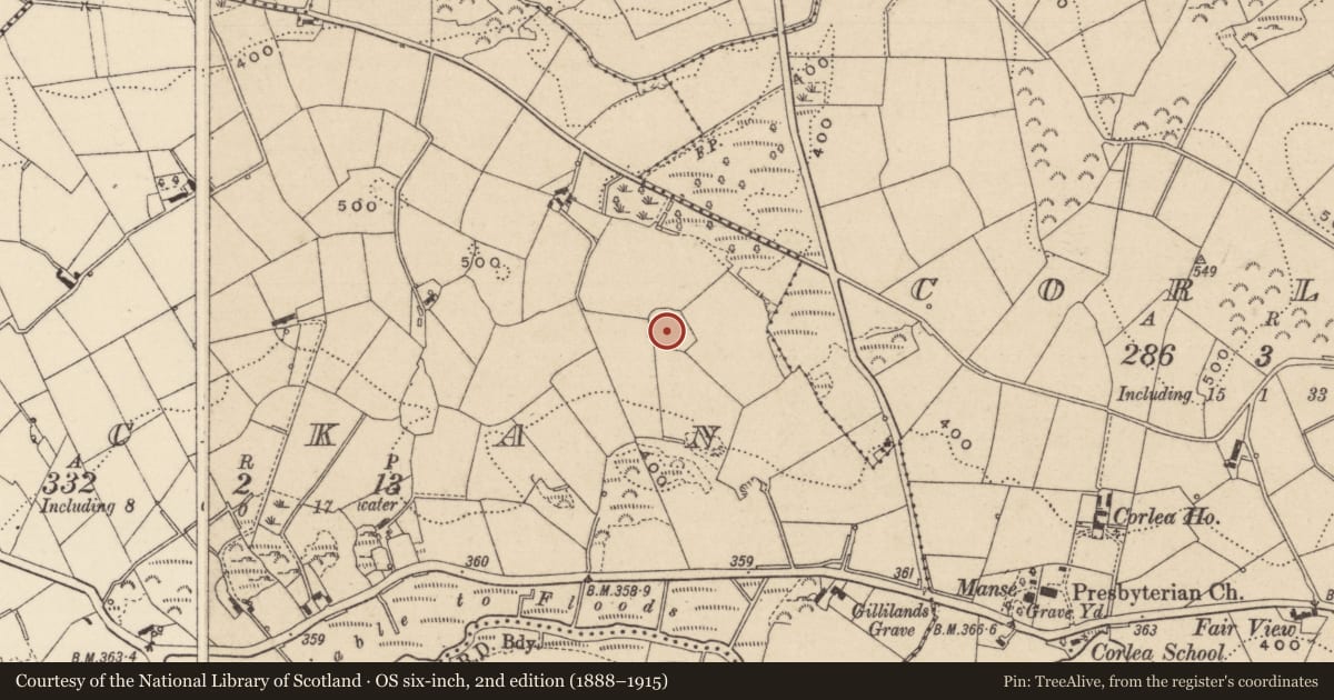 Ordnance Survey six-inch map, 2nd edition (1888–1915) covering the location of Enclosure - large enclosure, Lackan, County Monaghan, with a pin at the register's coordinates