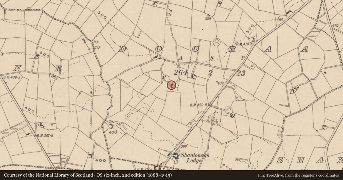 Ordnance Survey six-inch map, 2nd edition (1888–1915) covering the location of Cupmarked stone, Dooraa, County Monaghan, with a pin at the register's coordinates