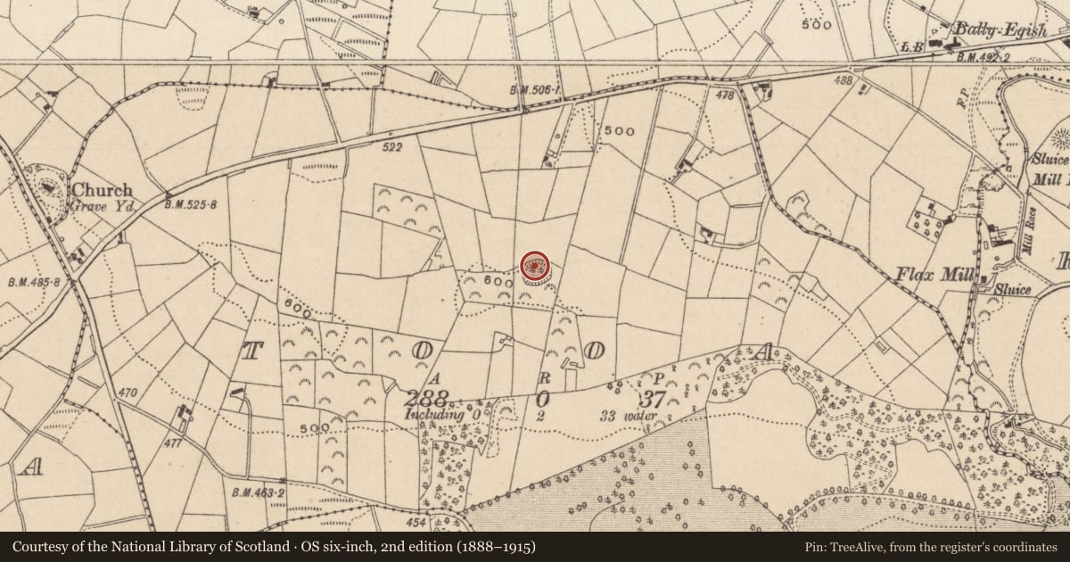 Ordnance Survey six-inch map, 2nd edition (1888–1915) covering the location of Hut site, Tooa, County Monaghan, with a pin at the register's coordinates
