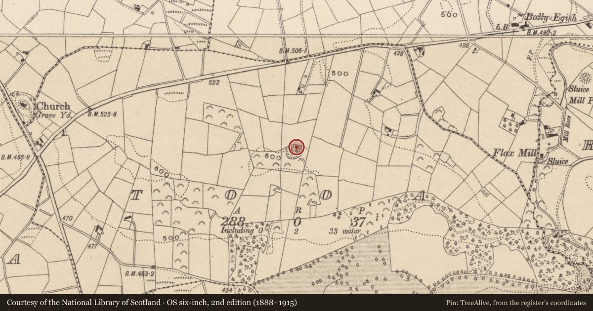 Ordnance Survey six-inch map, 2nd edition (1888–1915) covering the location of Hut site, Tooa, County Monaghan, with a pin at the register's coordinates
